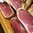 Sardinian boneless raw ham