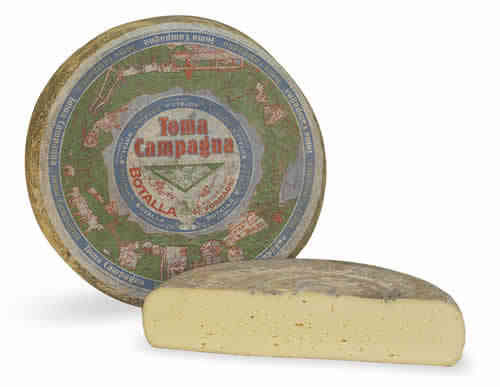 Cheese Toma Countryside